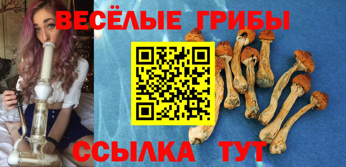 Галлюциногенные грибы мицелий  Галлюциногенные грибы прущие грибы  Ахтубинск  Вход с VPN 