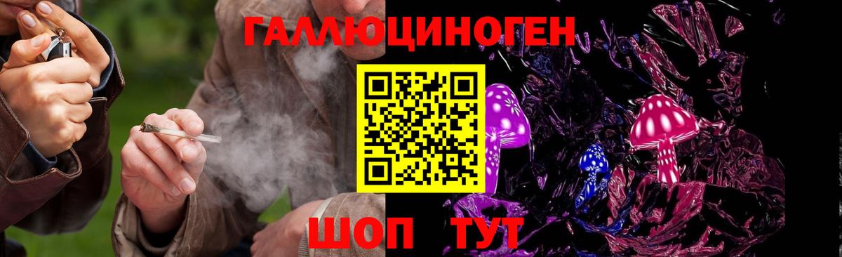Галлюциногенные грибы Psilocybine cubensis Ахтубинск